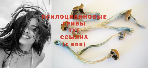 мяу мяу мука Покровск