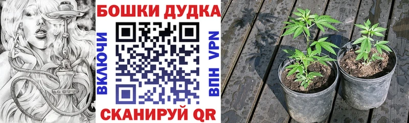 Бошки Шишки THC 21%  ссылка на мегу вход  Нефтекумск 